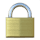 🔒